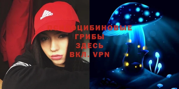 герыч Лагань