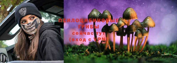 герыч Лагань