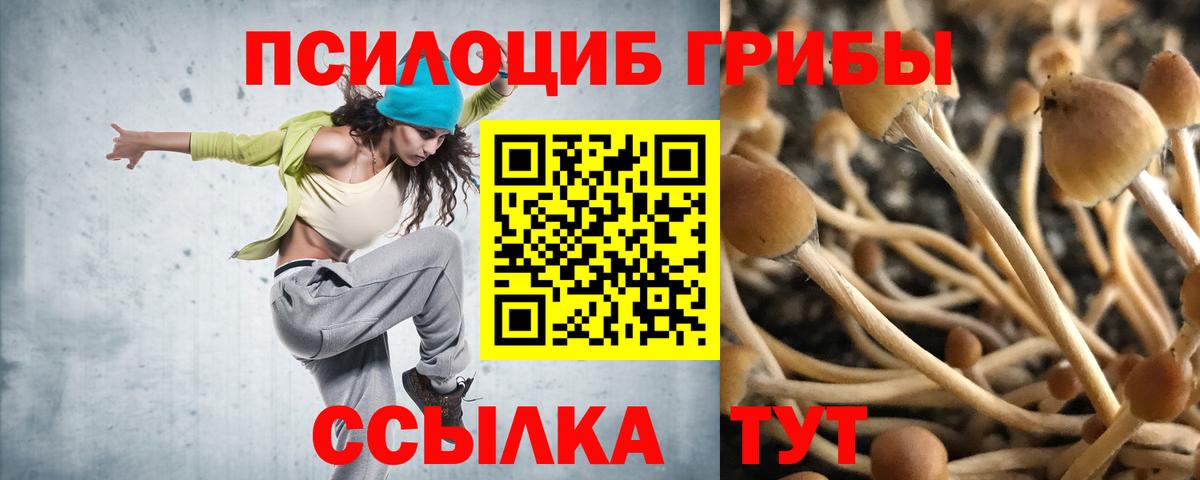 Галлюциногенные грибы прущие грибы  Вход с VPN  Лангепас 
