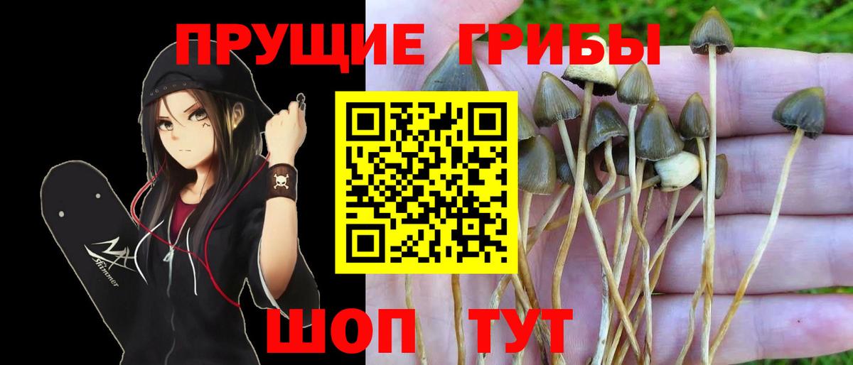 Галлюциногенные грибы GOLDEN TEACHER Лангепас